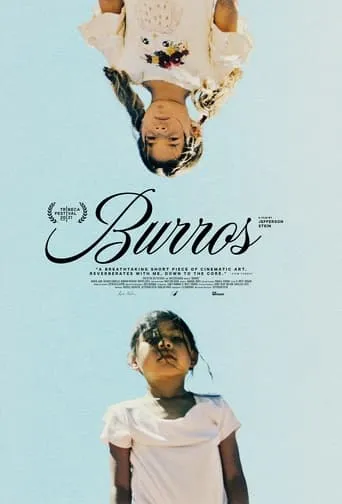 Burros movie poster - Rated 6.667/10