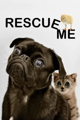 Rescue Me movie poster - Rated 10/10