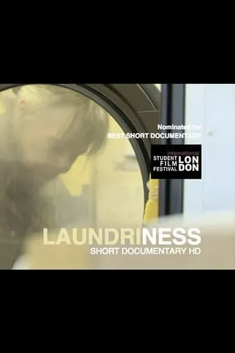 Laundriness movie poster - Entertainment content