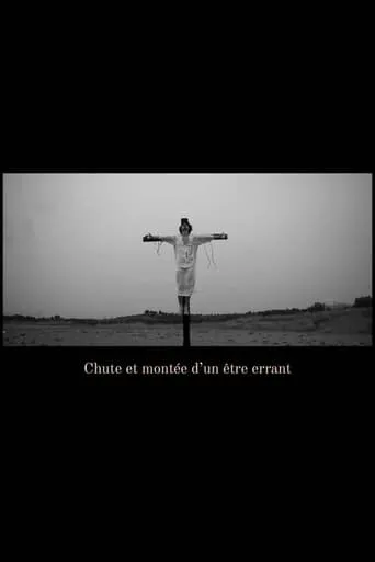 Chute et montée d'un être errant movie poster - Entertainment content
