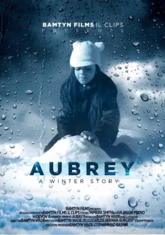 A Winter Story movie poster - Entertainment content