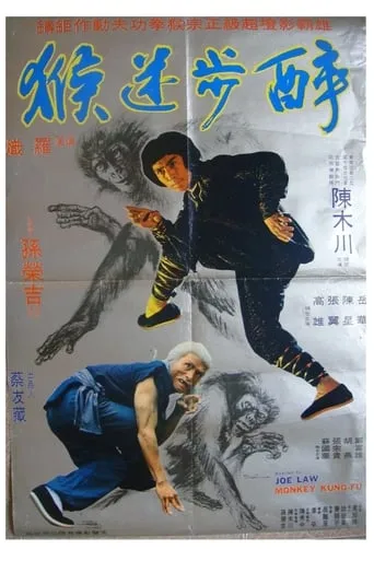 Monkey Kung Fu movie poster - Entertainment content