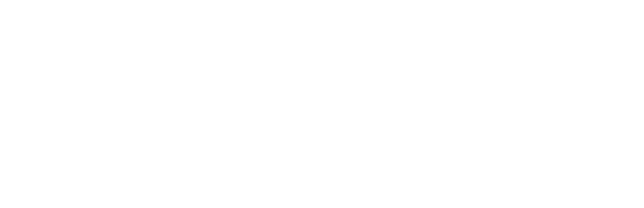 WWII: The Long Road Home