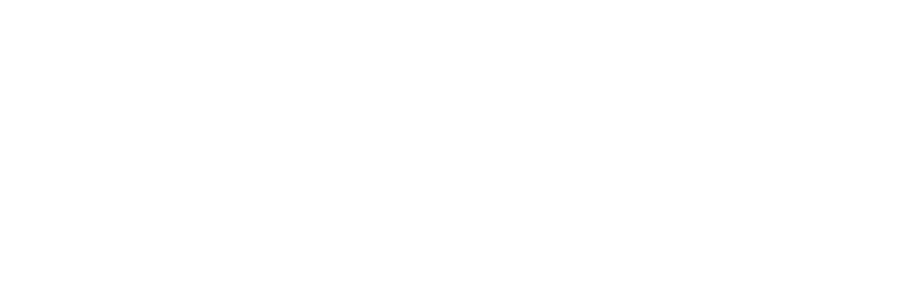 A Cops and Robbers Story