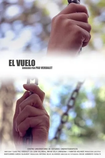 El vuelo movie poster - Rated 6/10
