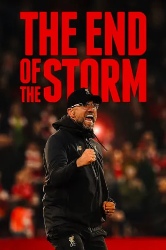 The End of the Storm movie poster - Rated 7.4/10