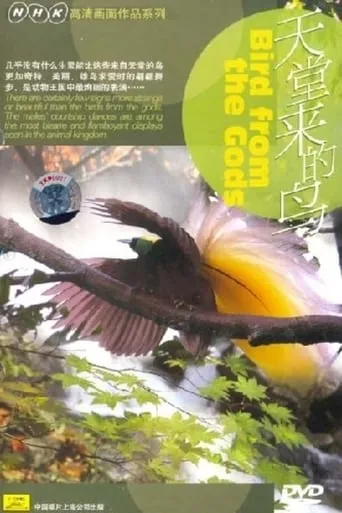 Birds from the Gods movie poster - Entertainment content