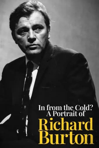 Richard Burton: In from the Cold movie poster - Rated 6/10