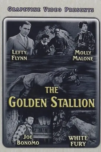 The Golden Stallion movie poster - Entertainment content