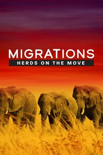 Migrations: Herds on the Move movie poster - Rated 10/10