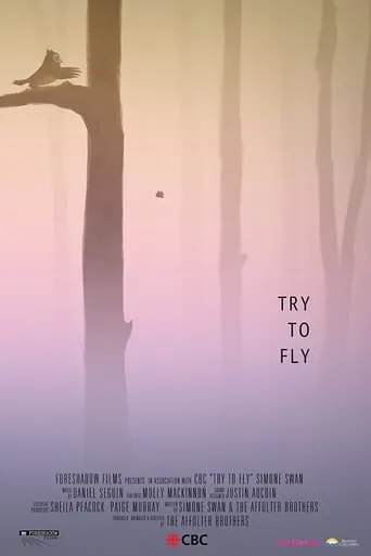 Try to Fly movie poster - Entertainment content