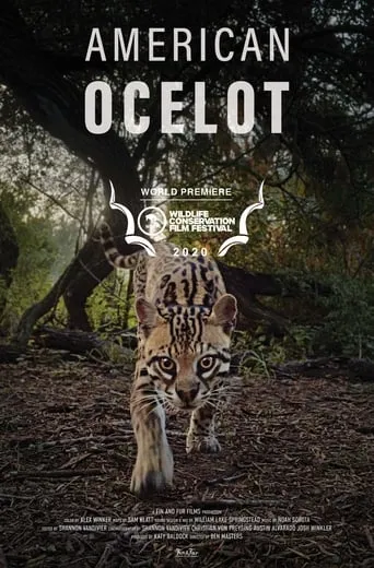 American Ocelot movie poster - Rated 9/10