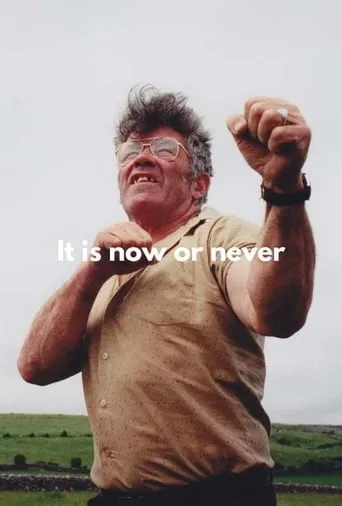 It's Now or Never movie poster - Entertainment content