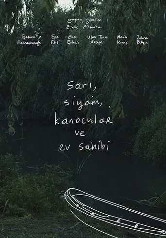 The Yellow, The Cat, The Kayakers and The Host movie poster - Rated 2.7/10