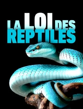 The Law of Reptiles movie poster - Entertainment content