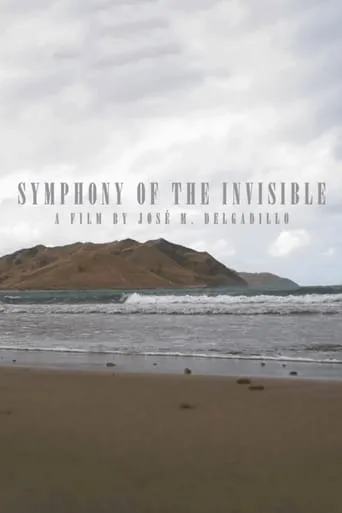 Symphony Of The Invisible movie poster - Entertainment content