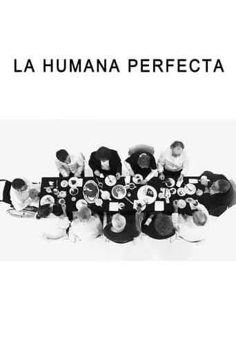 The Perfect Human movie poster - Entertainment content