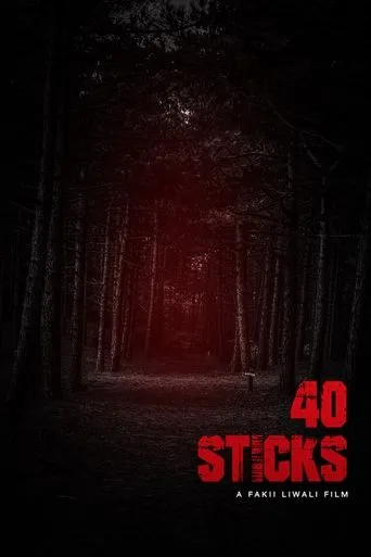 40 Sticks movie poster - Rated 6/10