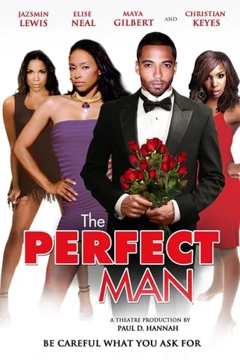 The Perfect Man movie poster - Rated 7.7/10