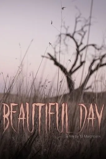 Beautiful Day movie poster - Entertainment content