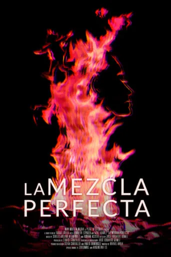 La mezcla perfecta movie poster - Entertainment content
