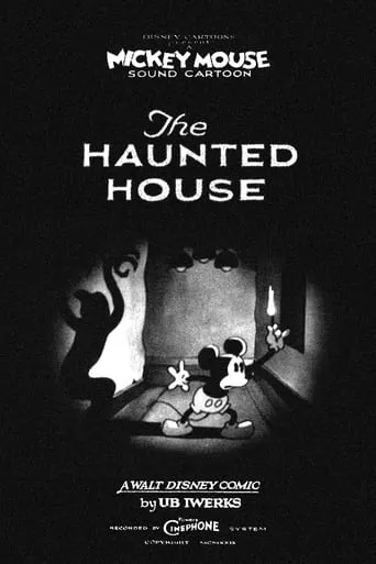 The Haunted House movie poster - Rated 6.5/10
