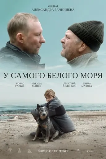By The White Sea movie poster - Rated 7/10