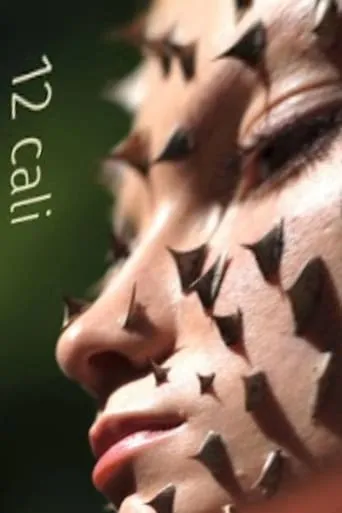 12 cali movie poster - Entertainment content
