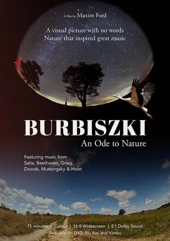 Burbiszki movie poster - Entertainment content