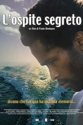 L'ospite segreto movie poster - Entertainment content