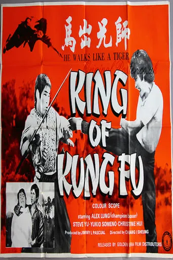 King of Kung Fu movie poster - Entertainment content