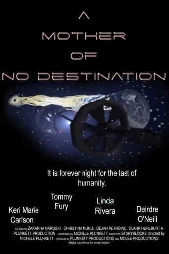 A Mother of No Destination movie poster - Rated 1.5/10