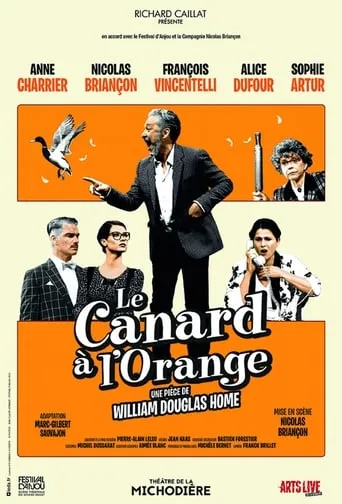 The Secretary Bird movie poster - Rated 7/10