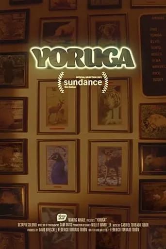 Yoruga movie poster - Entertainment content