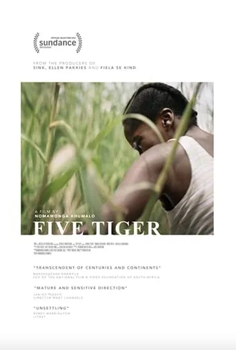 Five Tiger movie poster - Entertainment content