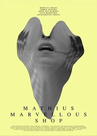 Mathius Marvellous Shop movie poster - Entertainment content