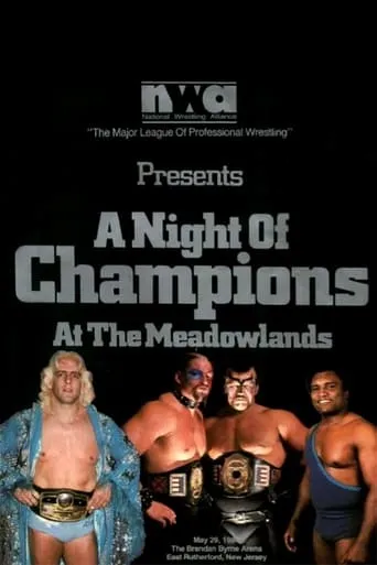 NWA Night of Champions movie poster - Entertainment content