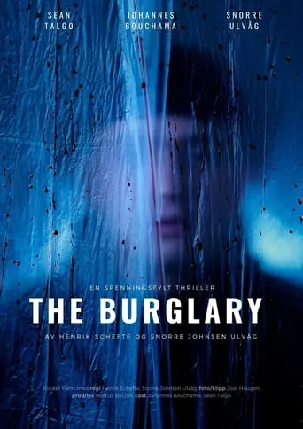 The Burglary movie poster - Rated 10/10