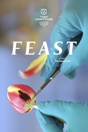 Feast movie poster - Rated 5.5/10