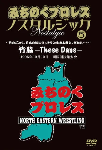 Michinoku Pro 3rd Anniversary: These Days movie poster - Rated 10/10