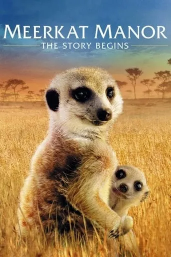 Meerkat Manor: The Story Begins movie poster - Rated 6.6/10