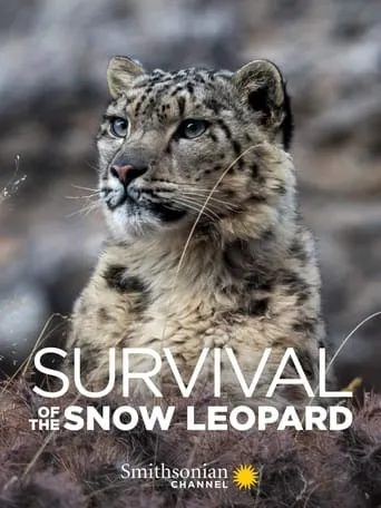 Survival Of The Snow Leopard movie poster - Rated 10/10