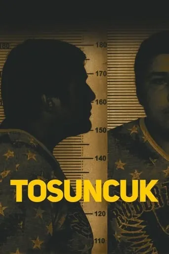 Tosuncuk movie poster - Entertainment content