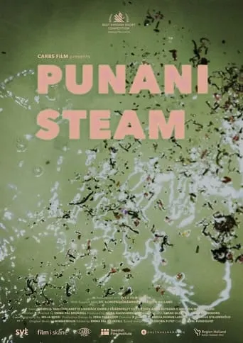 Punani Steam movie poster - Entertainment content