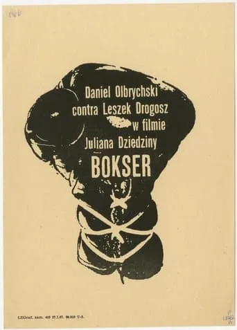 Boxer movie poster - Rated 5/10