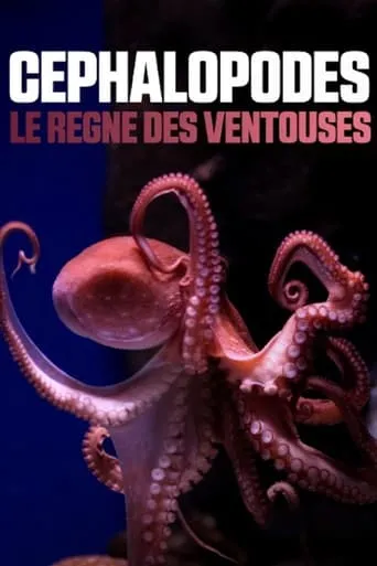 Cephalopods: The Reign of Suckers movie poster - Rated 9/10