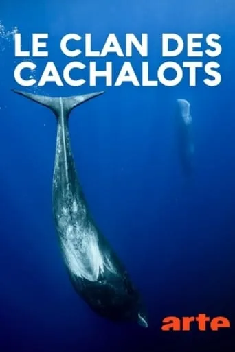 Le clan des cachalots movie poster - Rated 8/10