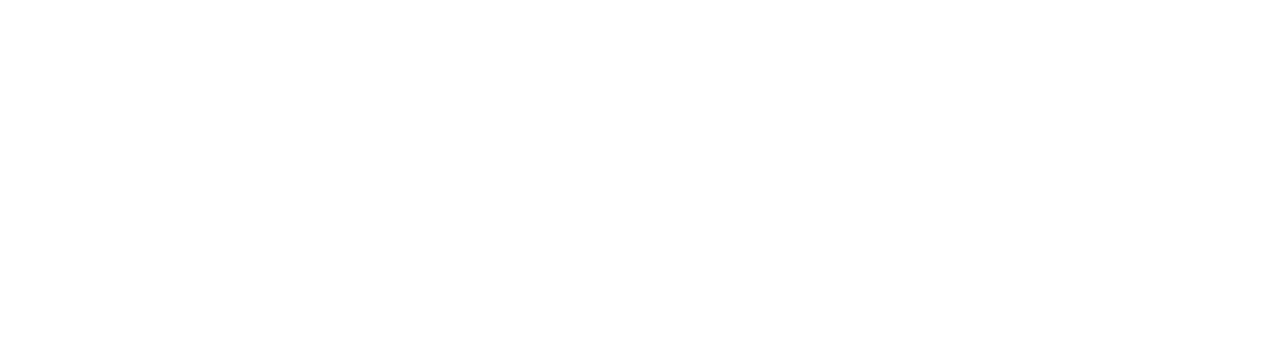 The Guardian