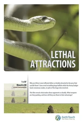 Lethal Attractions movie poster - Rated 10/10