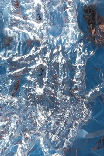 FOIL movie poster - Entertainment content